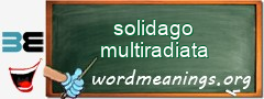WordMeaning blackboard for solidago multiradiata